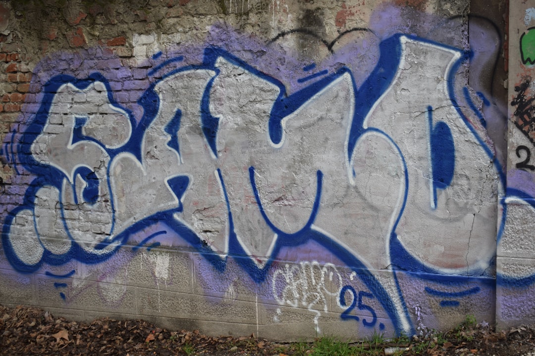 Mengungkap Fakta Menarik tentang Toto DV188